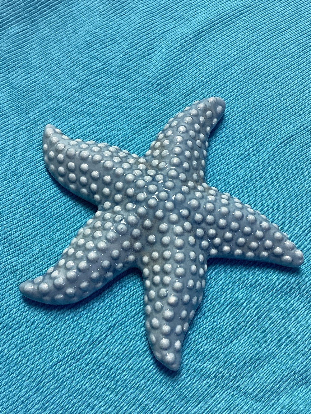 Michaels Light Blue Ceramic Starfish Dish